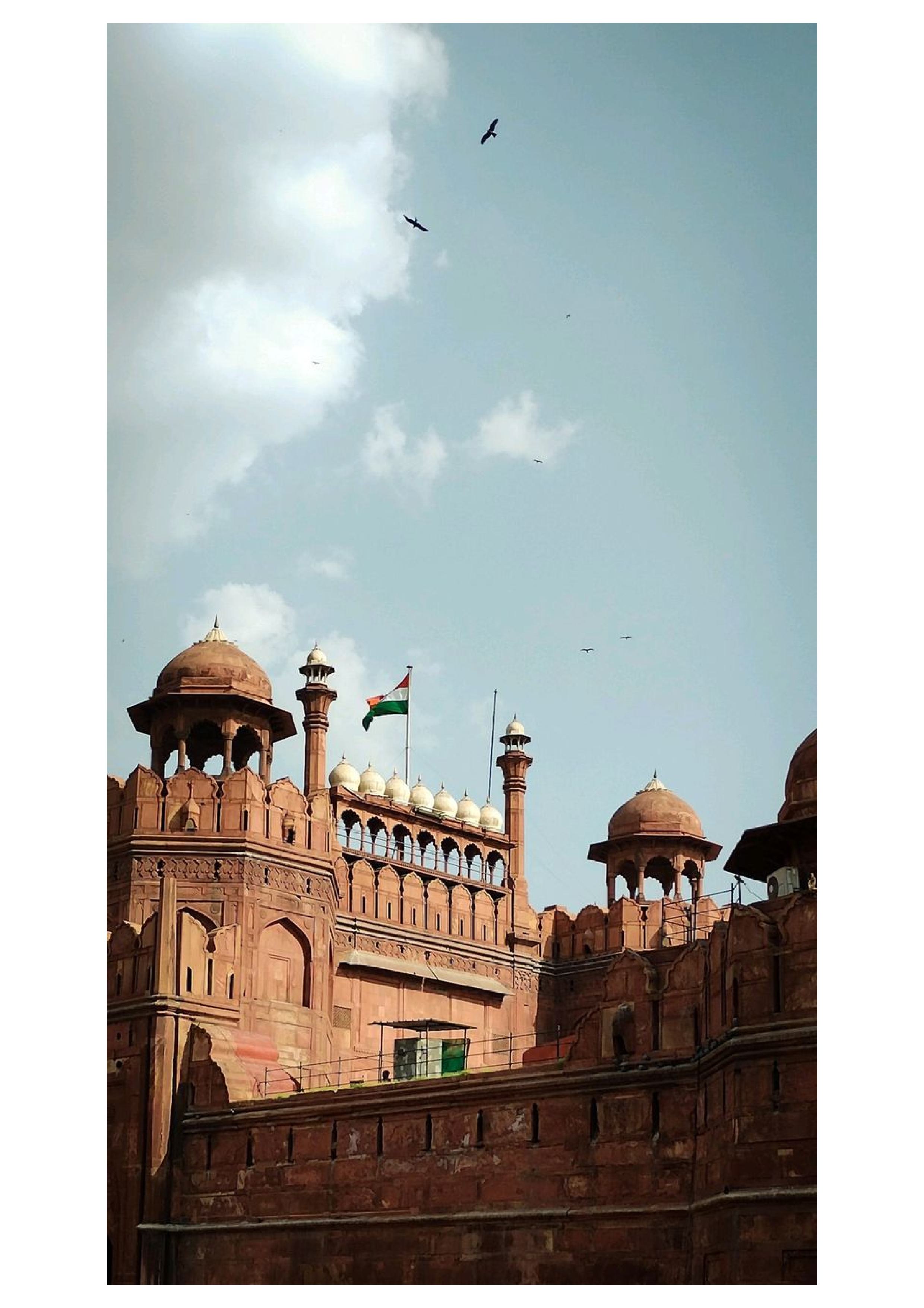 Delhi gallery 15