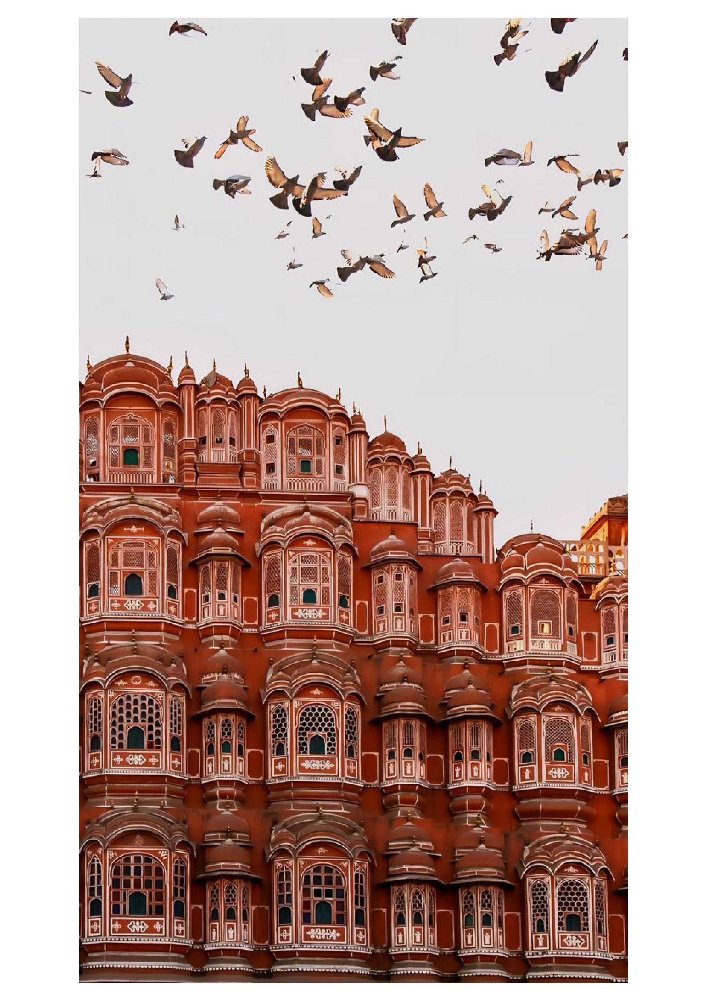 Jaipur gallery 2